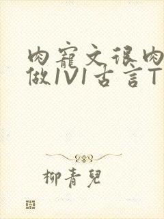 肉宠文很肉到处做1V1古言T