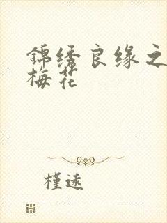 锦绣良缘之驿寄梅花