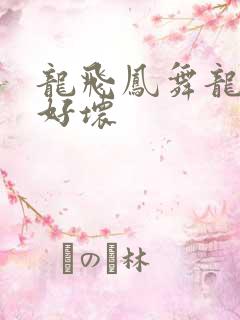 龙飞凤舞龙王你好坏