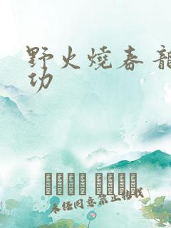 野火烧春 龙鸣功