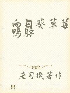 向日葵草莓丝瓜鸭脖