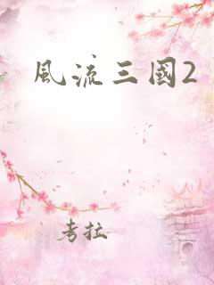 风流三国2