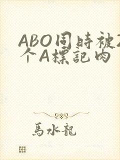 ABO同时被2个A标记肉