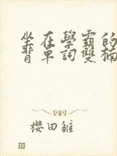 坐在学霸的棍子背单词双楠