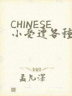 CHINESE小受遭各种打桩