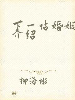 下一站婚姻剧情介绍