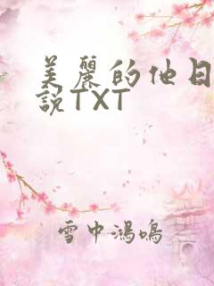 美丽的他日剧小说TXT