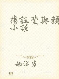 杨钰莹与赖昌星小说