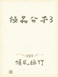 极品公子3