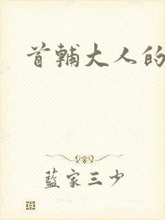 首辅大人的套路