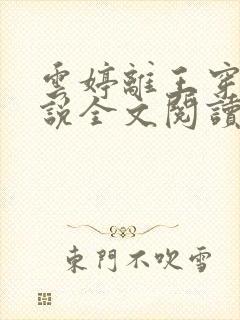 云婷离王穿越小说全文阅读