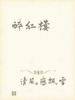 醉红楼
