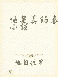 他是真的喜欢你小说