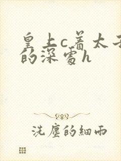 皇上c着太子妃的深处h