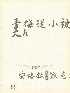 青梅从小被弄到大h