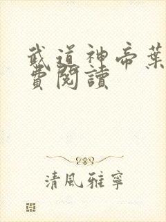 武道神帝叶辰免费阅读