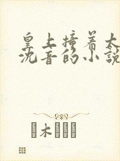 皇上撞着太子妃沈音的小说叫什么