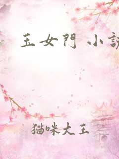 玉女门 小说