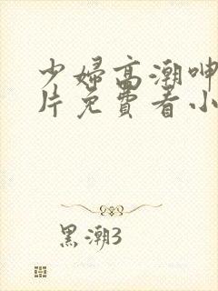 少妇高潮呻吟A片免费看小说