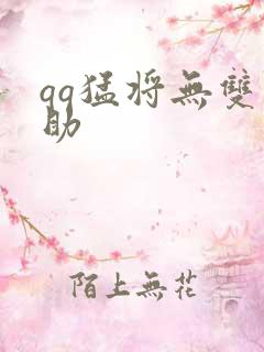 qq猛将无双辅助