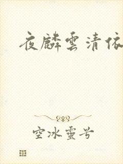 夜麟云清依小说