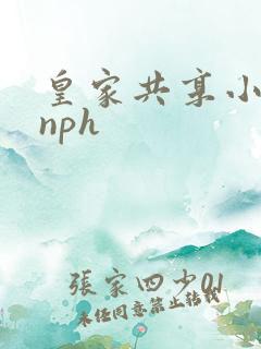 皇家共享小公主nph