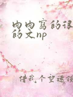 肉肉写的很细致的文np