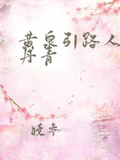 黄泉引路人 碎丹青