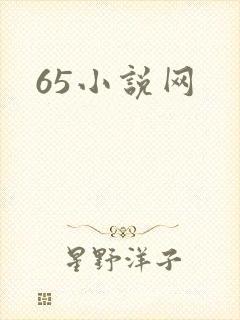 65小说网