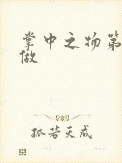 掌中之物第一次做