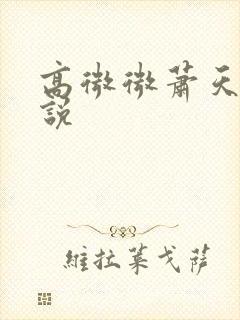 高微微萧天策小说