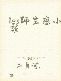 les师生恋小说