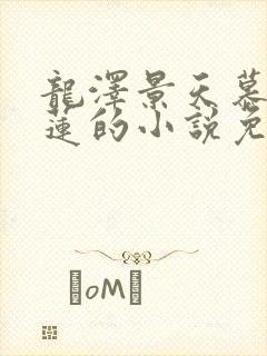 龙泽景天慕容青莲的小说免费阅读