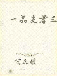 一品夫君三流妻