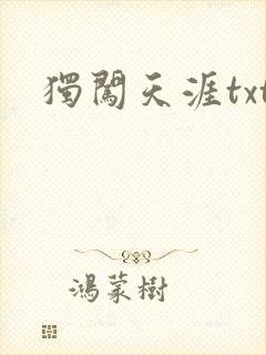 独闯天涯txt