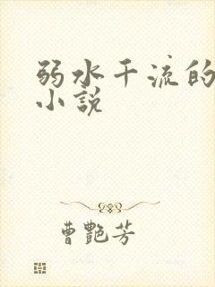 弱水千流的全部小说