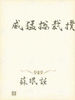 威猛总裁扑娇妻