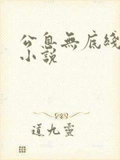 公息无底线的爱小说