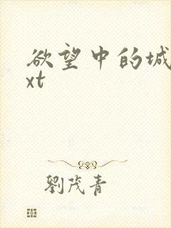 欲望中的城市txt