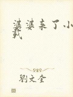 婆婆来了小说下载