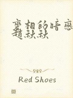 变相的暗恋小说赵秋秋