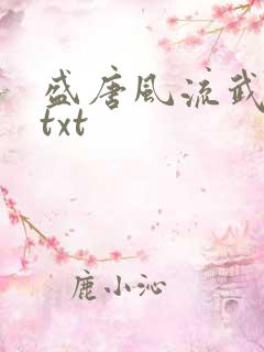 盛唐风流武状元txt