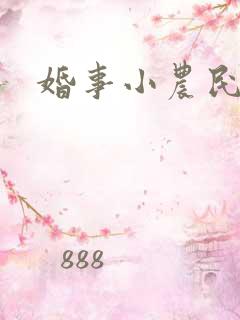 婚事小农民