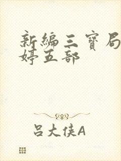 新编三宝局长许婷五部