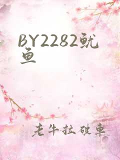 BY2282鱿鱼
