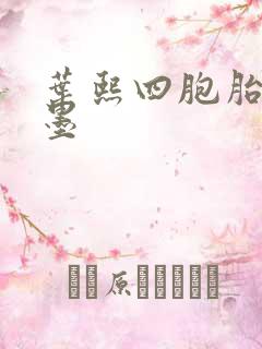 叶熙四胞胎厉子墨