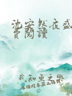 沈安然夜盛霆免费阅读