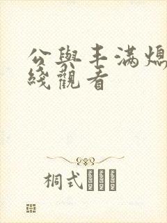 公与丰满熄4在线观看