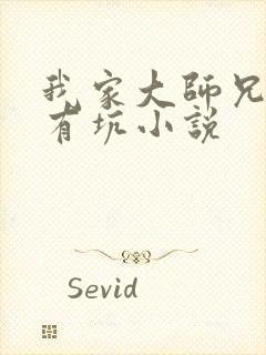 我家大师兄脑子有坑小说