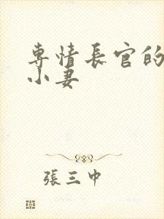 专情长官的天价小妻